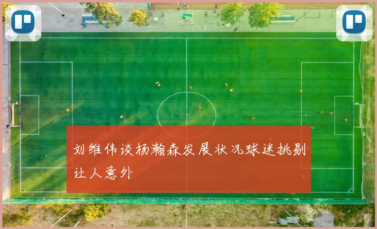 刘维伟谈杨瀚森发展状况球迷挑剔让人意外